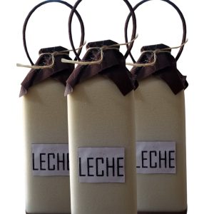 Carton leche x1